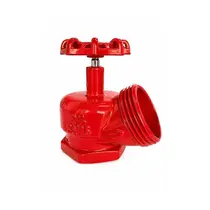 Registro Globo angular 45° em Ferro 2.1/2"- PN 16