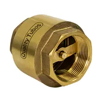 Válvula de Retenção vertical em Latão de 2"